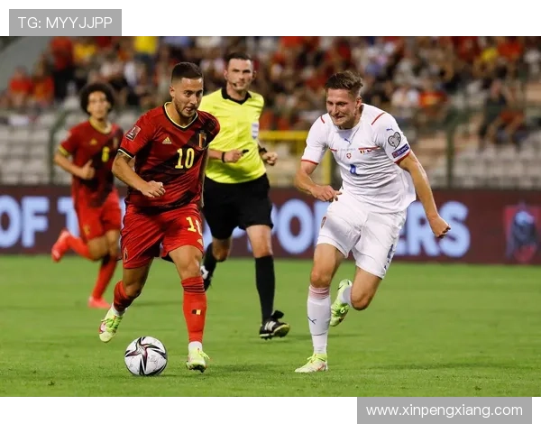 波黑主帅巴巴雷茨:全力以赴迎战意大利 波黑主帅巴巴雷茨:全力以赴迎战意大利